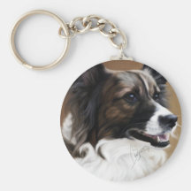 Llavero de la mezcla del collie