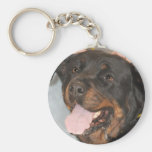 Llavero de la raza del perro de Rottweiler (Rottie
