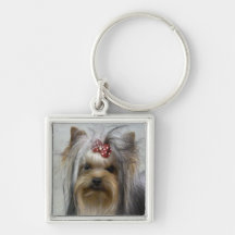 Llavero de Yorkie