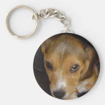Llavero del beagle