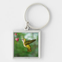 llavero del colibrí