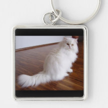 Llavero del gato persa