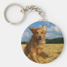 llavero del golden retriever