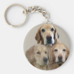 Llavero del golden retriever