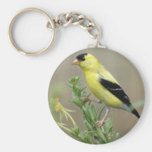 Llavero del Goldfinch