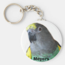 Llavero del loro de Meyers