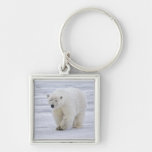 Llavero del oso polar