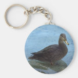 Llavero del pato