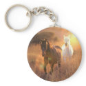 caballos salvajes dibujados