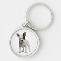 Llavero lindo del perro de perrito del dogo francé