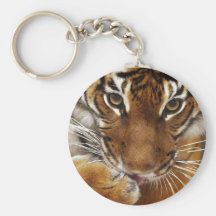 Llavero malayo del tigre #1