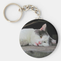 Llavero soñoliento del ~ del gatito
