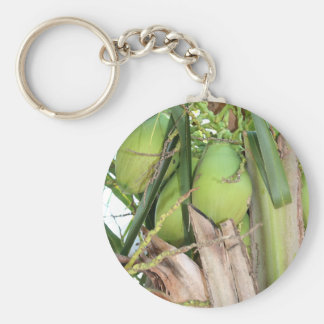 Llavero verde de los cocos