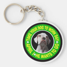LLEVE SU PERRO EL DÍA DEL TRABAJO--Dogo Llavero