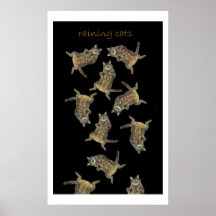 Llover gatos impresiones