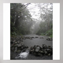 Lluvia de Hawaii Impresiones