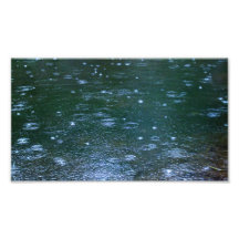 Lluvia de la charca impresiones fotográficas