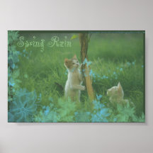 Lluvia de primavera posters