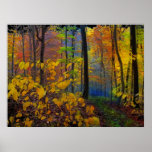 Lluvia del otoño, poster