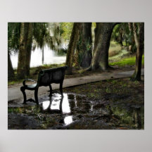 Lluvia en el parque poster