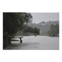 Lluvia Cojinete