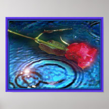 Lluvia Posters