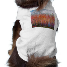 Lluvia sobre el vidrio con colores bonitos ropa perro