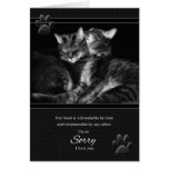 Lo siento por favor me perdono gatos de Tabby tarjetas