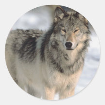 Lobo alerta etiquetas  