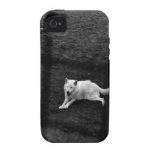 Lobo ártico iPhone 4 funda