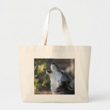 Lobo Bolsa