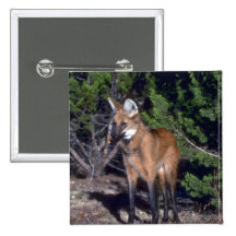 Lobo crinado pin