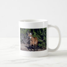 Lobo crinado taza