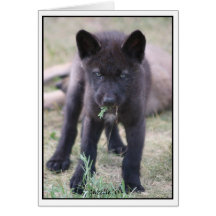 Lobo Cub Tarjetón