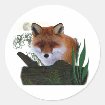 lobo de los animales pegatinas redondas