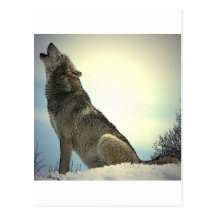 Lobo del grito postal