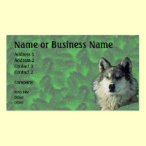 Lobo del invierno con la tarjeta Spruce 2 del nego tarjetas de negocio