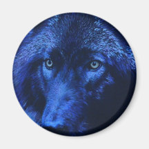 Lobo en el claro de luna (b) imán
