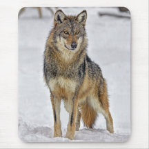 Lobo en el reloj tapetes de raton