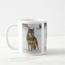 Lobo en la taza del reloj