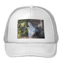 lobo gorros  