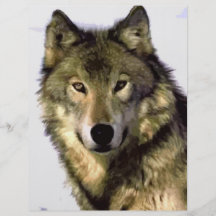 Lobo gris tarjetones