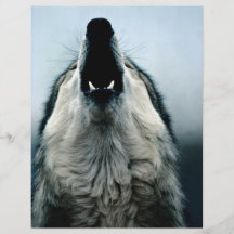Lobo mexicano, especie en peligro, desierto de Son Tarjeta Publicitaria