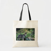 Lobo-pequeño perrito gris en maderas verdes bolsas