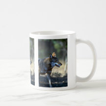 Lobo rojo taza