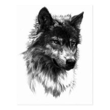 Lobo solitario - postal