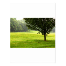Lobo solitario postal