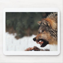Lobo Tapetes De Raton