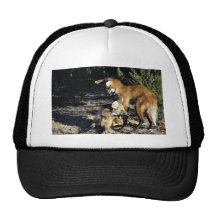 Lobos crinados, pares acoplados gorras de camionero