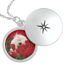 Locket redondo hermoso y cadena de la plata esterl medallón
